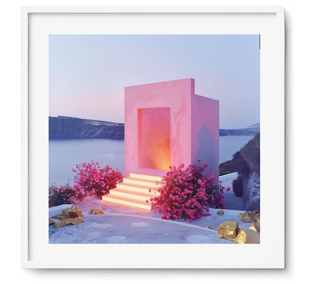 WILD TERRITORY - DOTCOM ART
