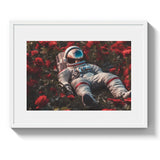 COSMIC GAZING - DOTCOM ART