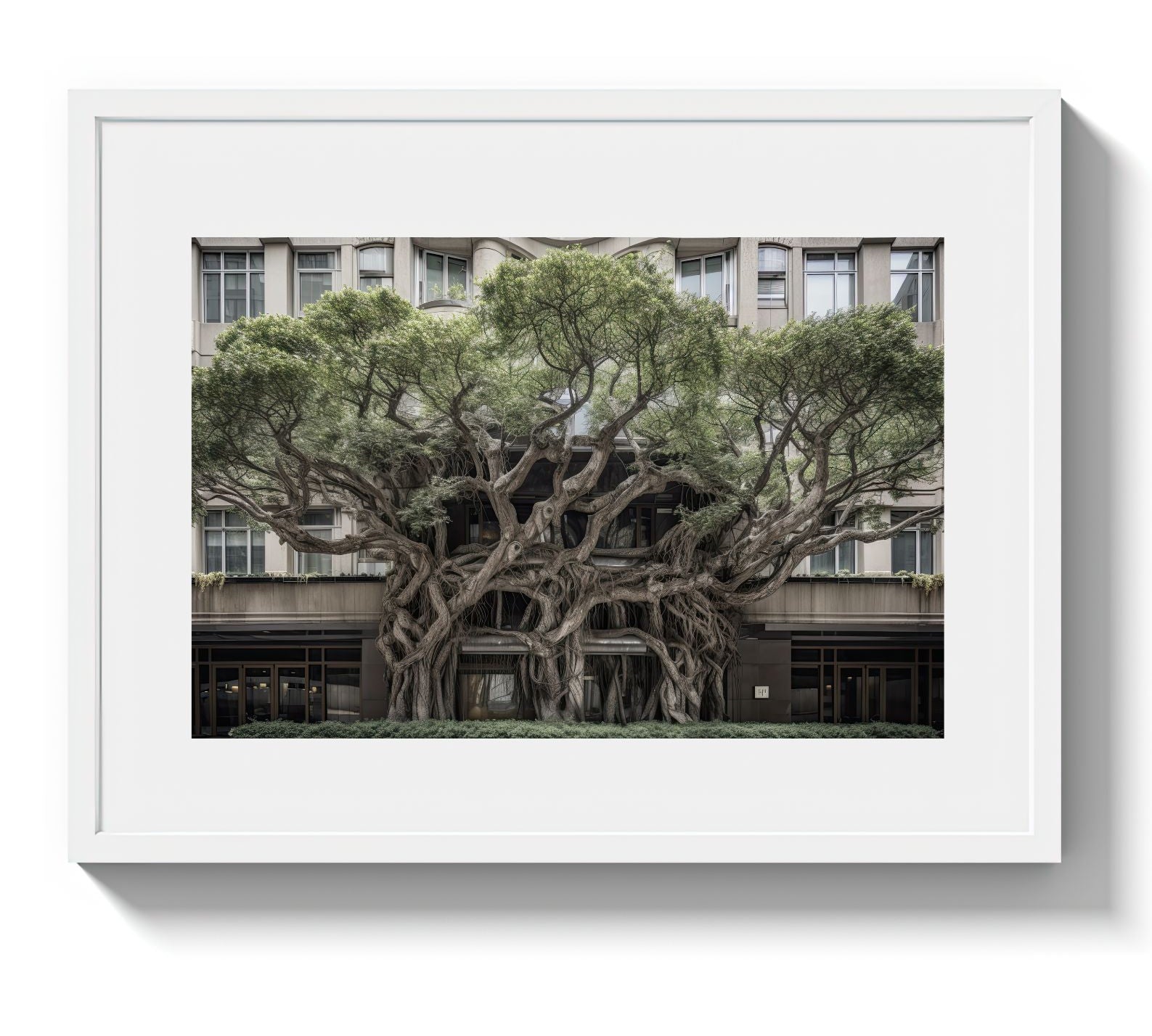 BROADWAY TREE HOUSE - DOTCOM ART