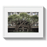 BROADWAY TREE HOUSE - DOTCOM ART