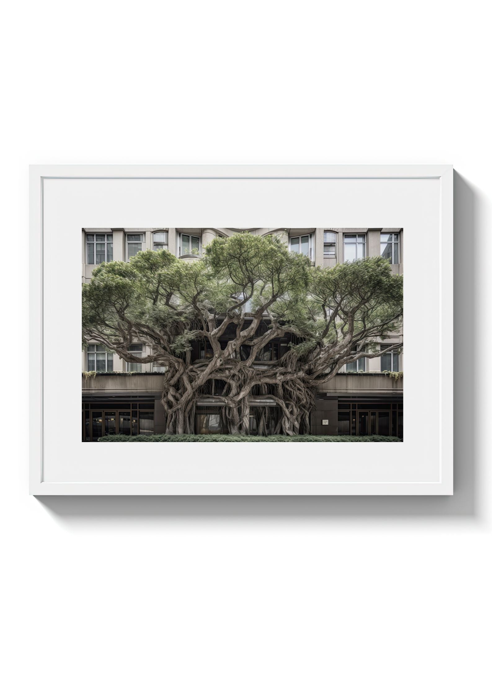 BROADWAY TREE HOUSE - DOTCOM ART