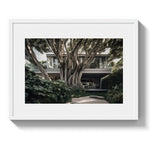 DOUBLE BAY TREE HOUSE - DOTCOM ART