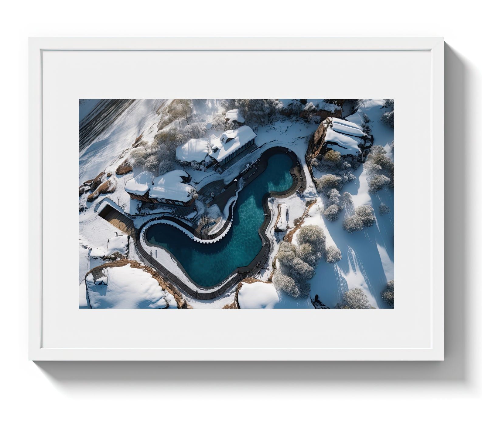 POLAR BEARS CLUB *2 - DOTCOM ART