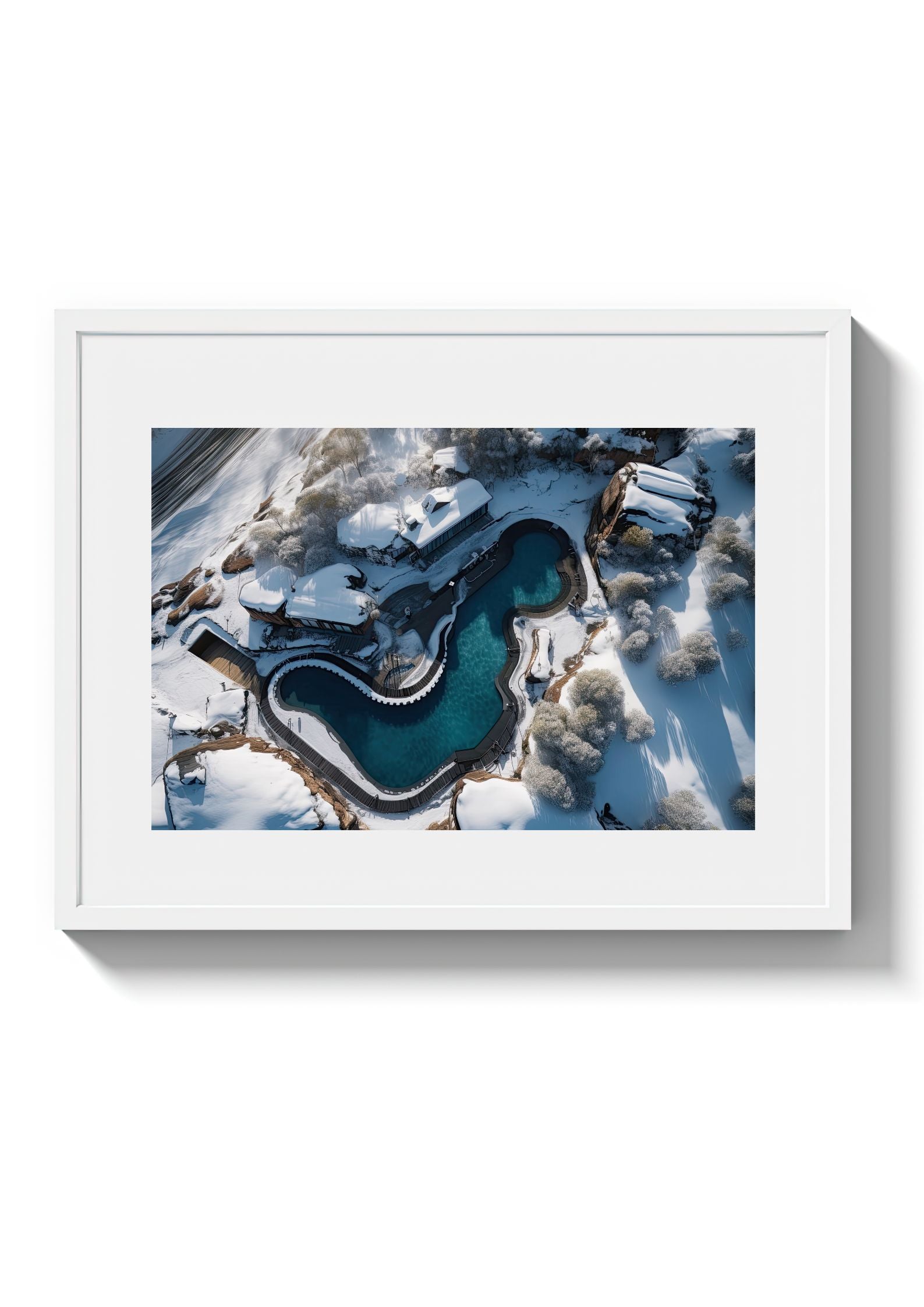 POLAR BEARS CLUB *2 - DOTCOM ART