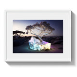 EUCALYPTUS *1 - DOTCOM ART