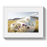 SPRING SHELL - DOTCOM ART