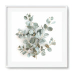 EUCALYPTUS ELEGANCE - DOTCOM ART