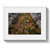 NYC FLORAL TAKEOVER - DOTCOM ART