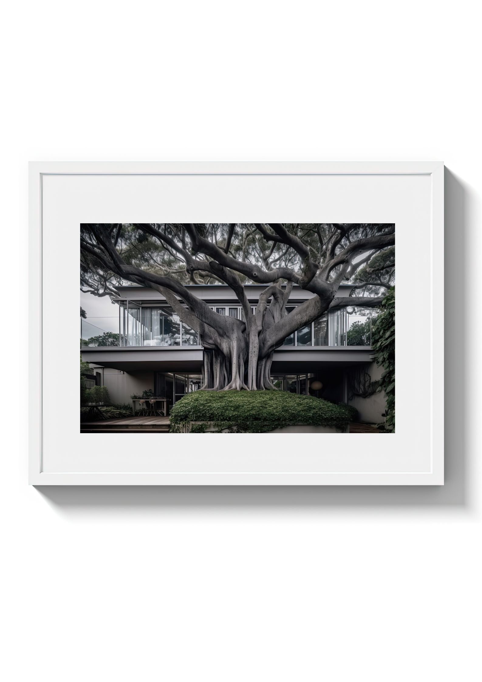 VAUCLUSE TREE HOUSE - DOTCOM ART