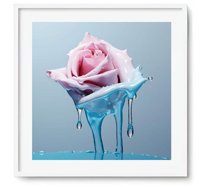 FREEZE - DOTCOM ART