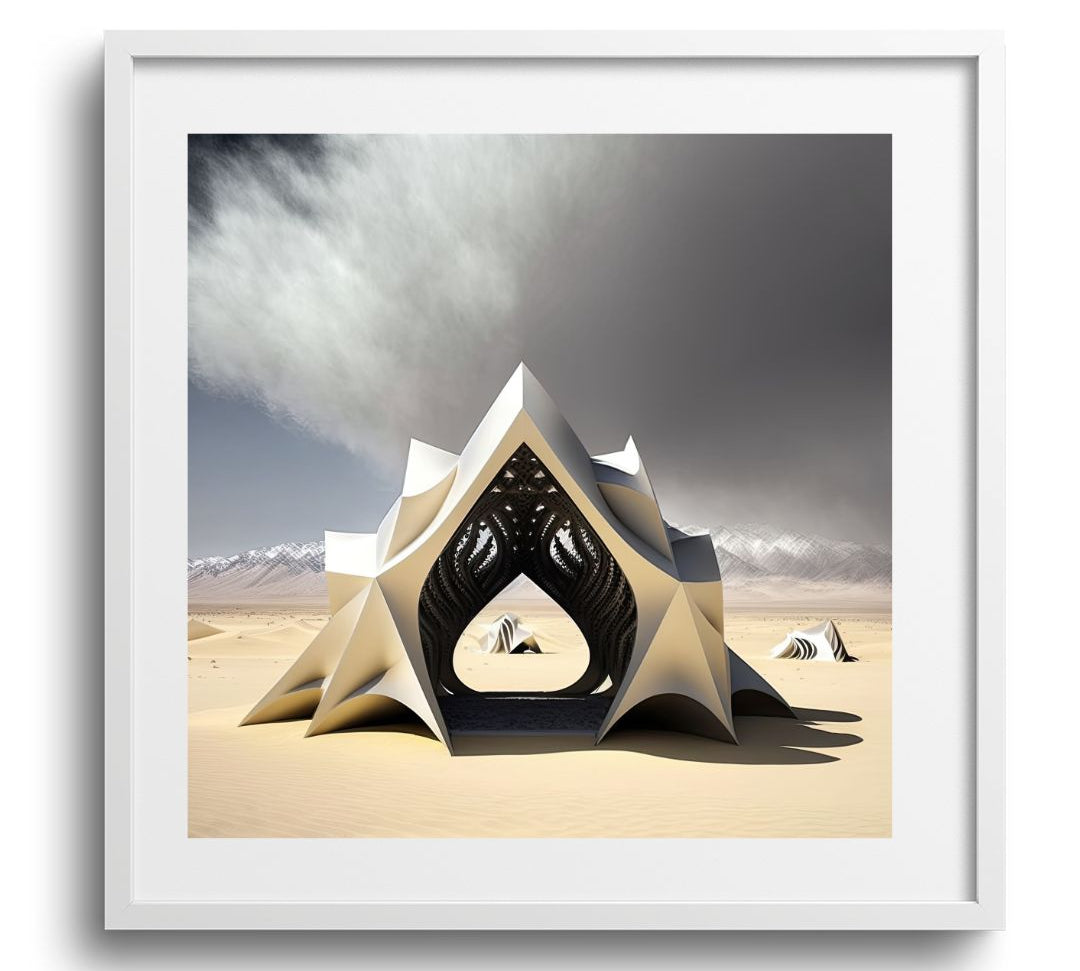 SHELTER - DOTCOM ART