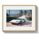 ENZO'S PLAYGROUND *1 - DOTCOM ART