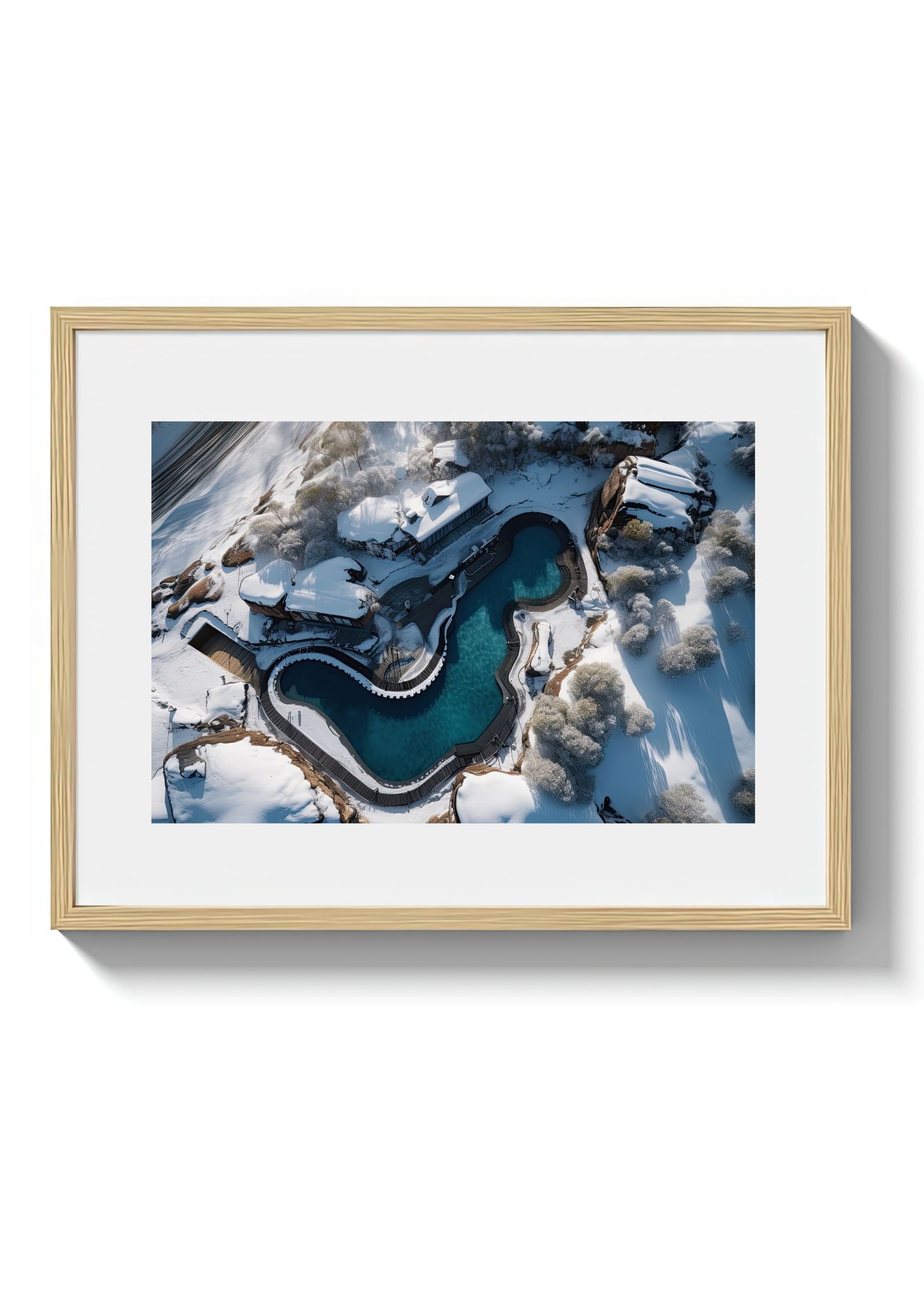 POLAR BEARS CLUB *2 - DOTCOM ART