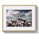 SHOWTIME - DOTCOM ART