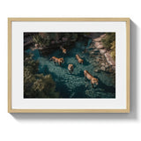 A LAZY SWIM *3 - DOTCOM ART
