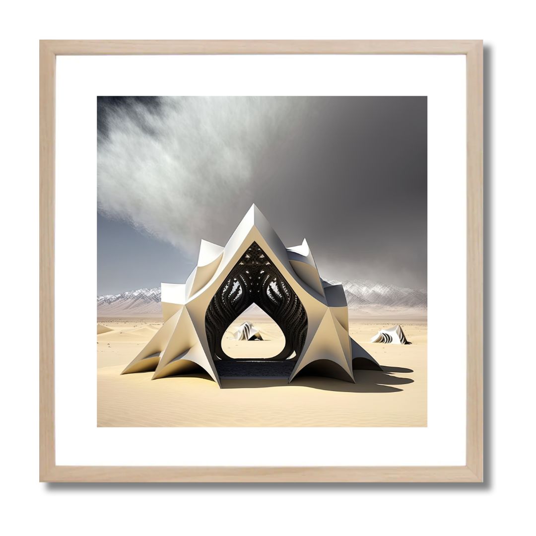 SHELTER - DOTCOM ART