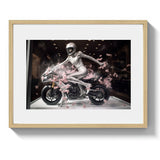 WINDOW SHOPPING *3 - DOTCOM ART