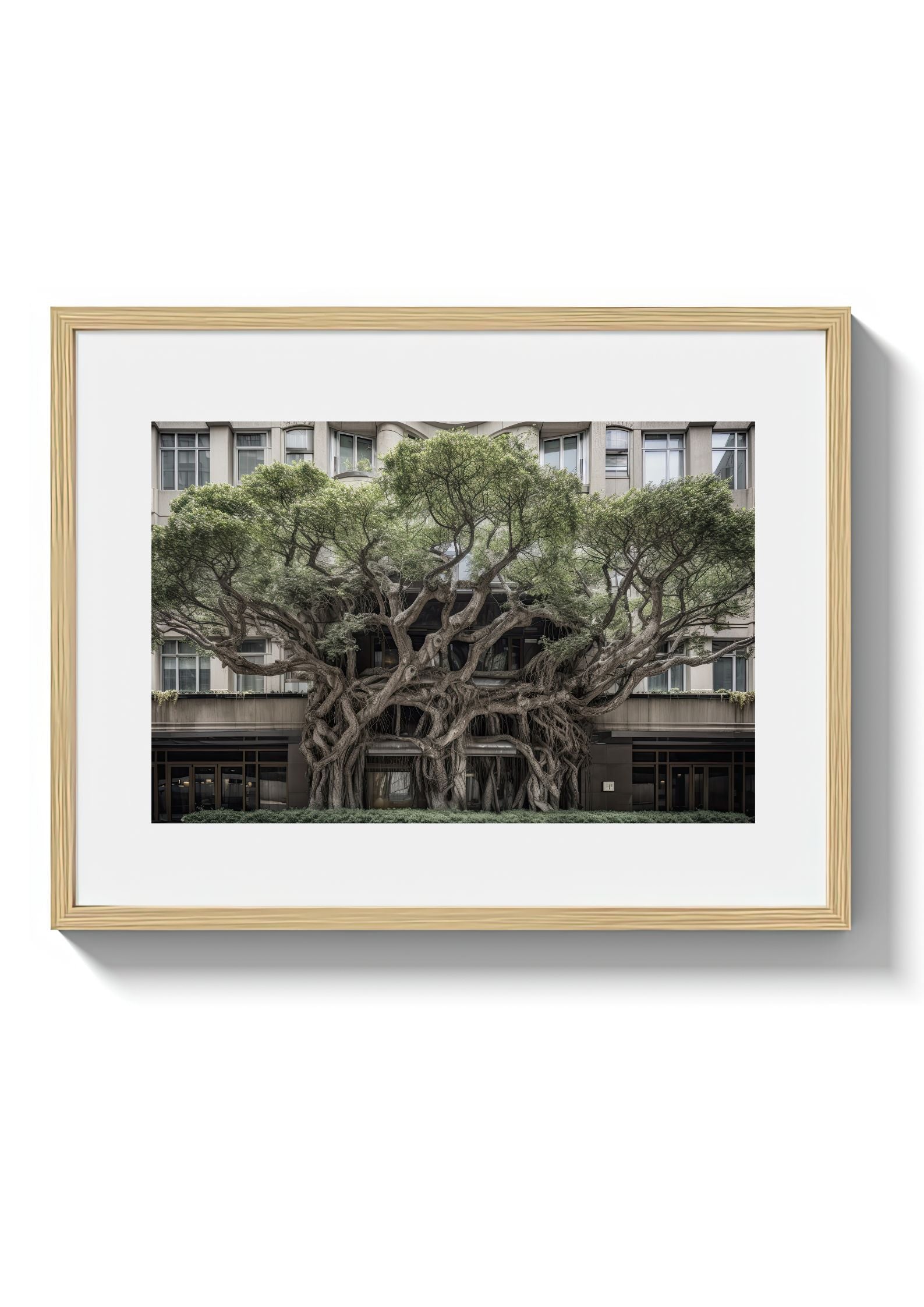 BROADWAY TREE HOUSE - DOTCOM ART