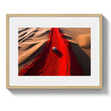 THE TRAIL *3 - DOTCOM ART