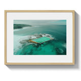 AT YOUR OWN RISK *4 - DOTCOM ART