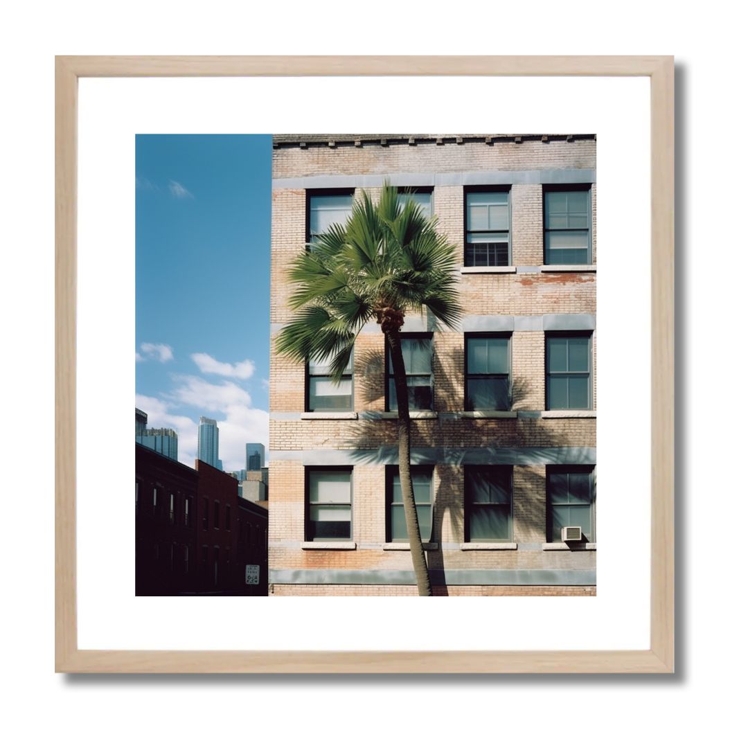 PALM ST - DOTCOM ART