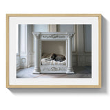 KITTY NAP - DOTCOM ART