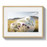 SPRING SHELL - DOTCOM ART