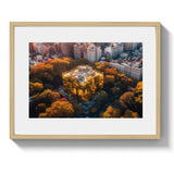 CENTRAL PARK LUXE - DOTCOM ART