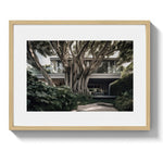 DOUBLE BAY TREE HOUSE - DOTCOM ART