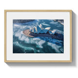 GLOBAL WARMING - DOTCOM ART