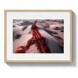 THE TRAIL *1 - DOTCOM ART