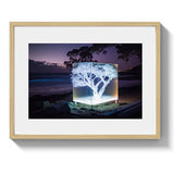EUCALYPTUS *3 - DOTCOM ART