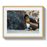 DESERT STING - DOTCOM ART