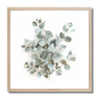 EUCALYPTUS ELEGANCE - DOTCOM ART