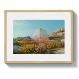 HOTHOUSE *1 - DOTCOM ART