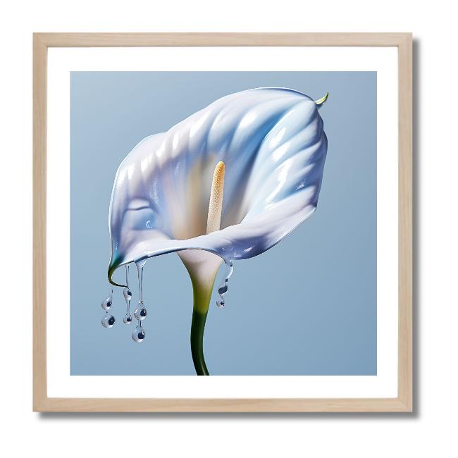 DEW - DOTCOM ART