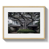 VAUCLUSE TREE HOUSE - DOTCOM ART