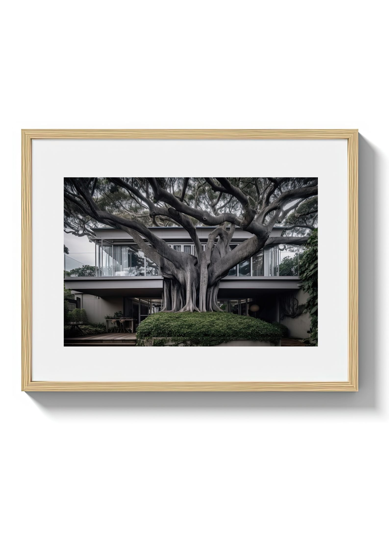 VAUCLUSE TREE HOUSE - DOTCOM ART
