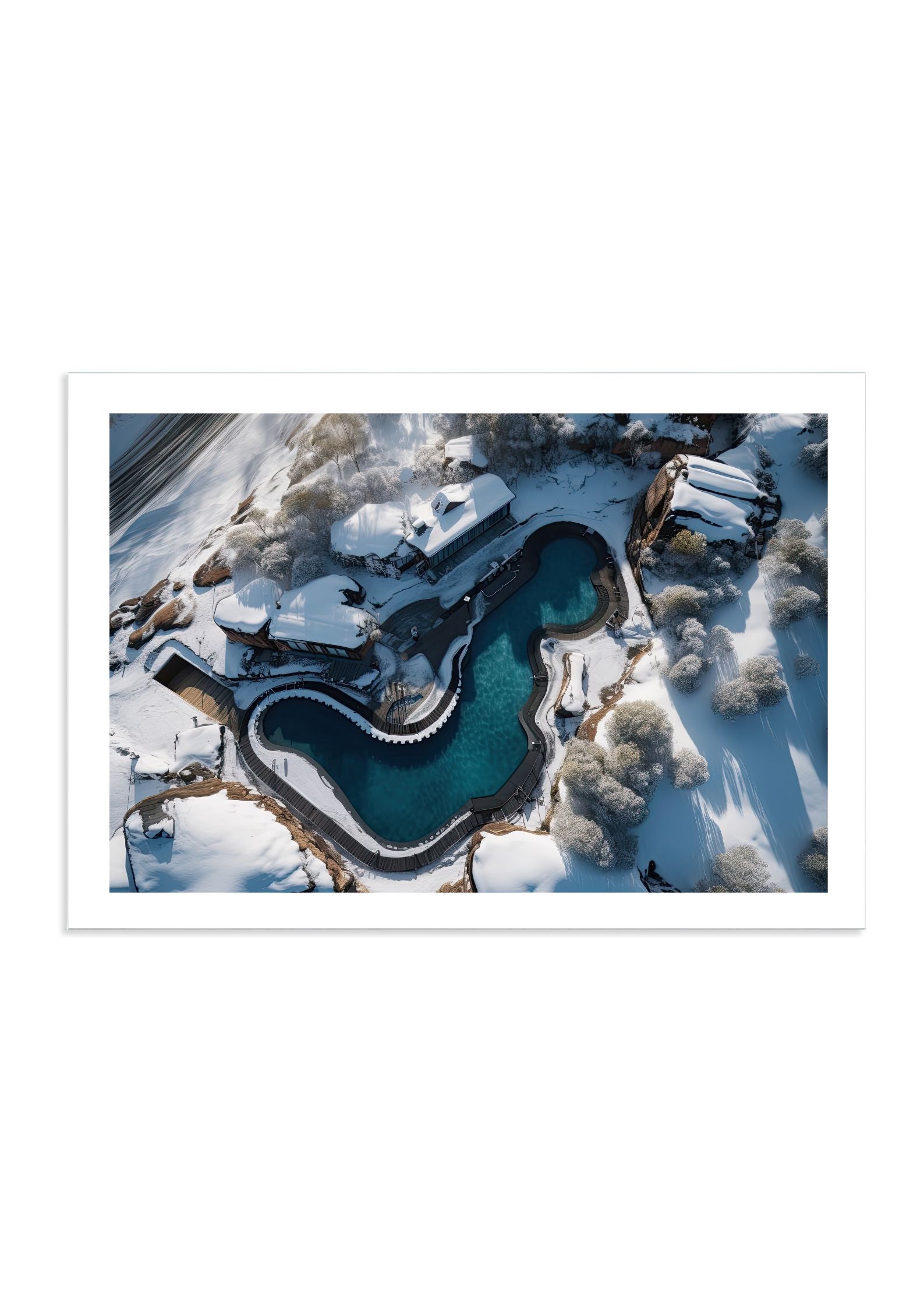 POLAR BEARS CLUB *2 - DOTCOM ART