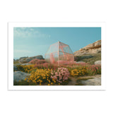 HOTHOUSE *1 - DOTCOM ART