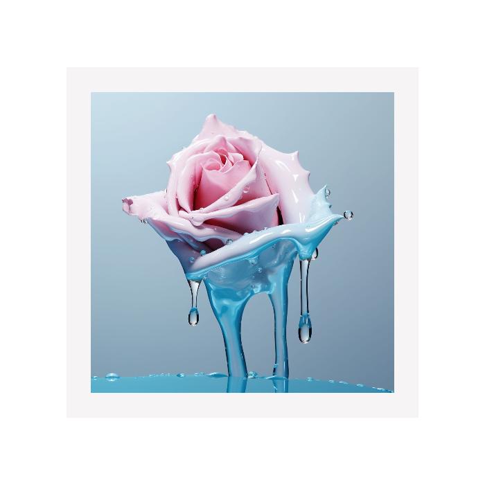 FREEZE - DOTCOM ART