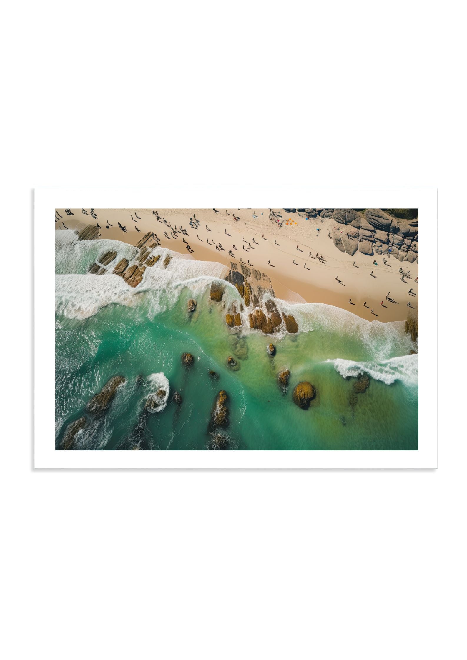 NATIVE'S NEST - DOTCOM ART