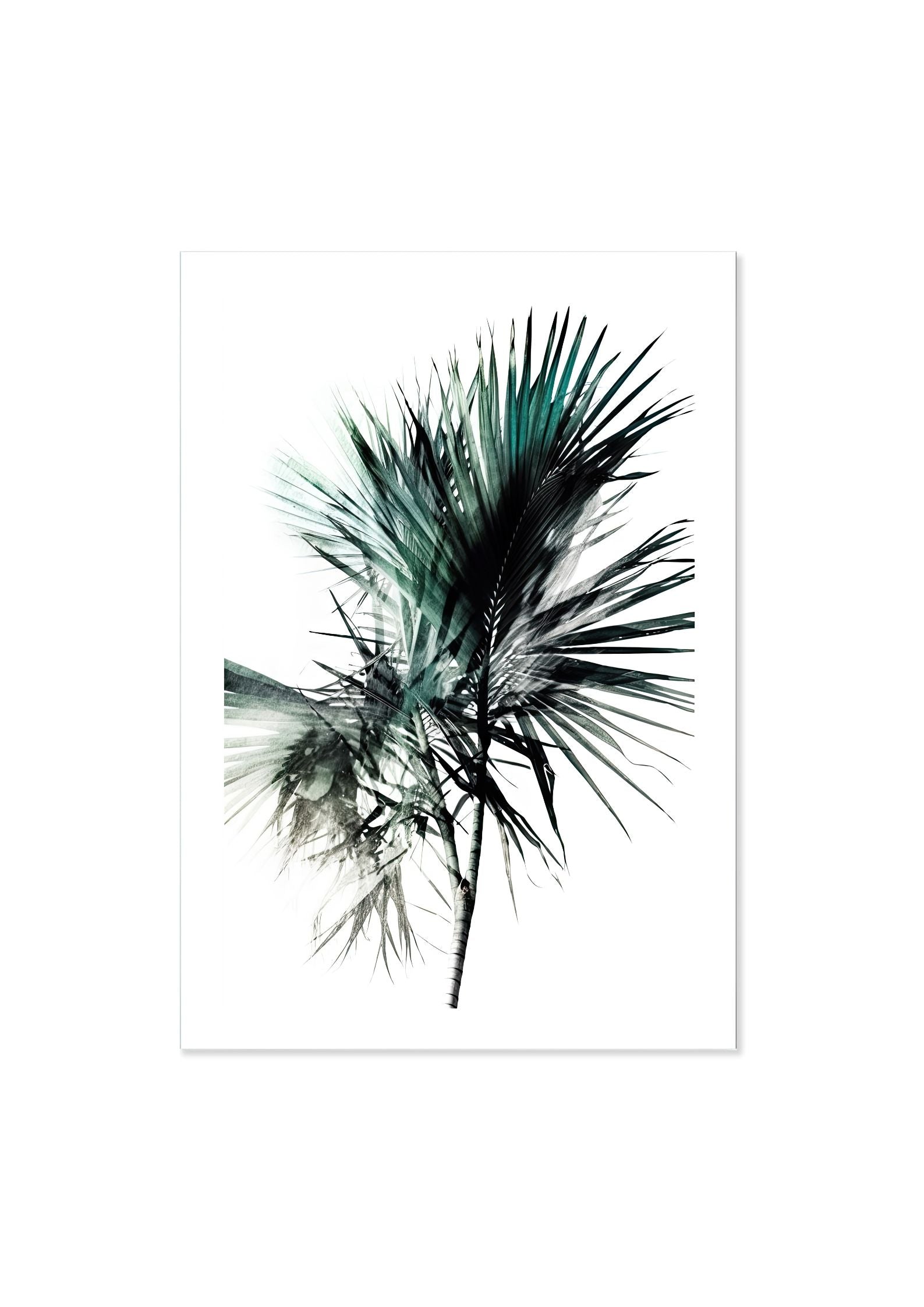 PALM FAN *3 - DOTCOM ART