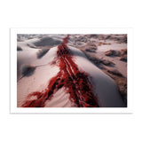THE TRAIL *1 - DOTCOM ART