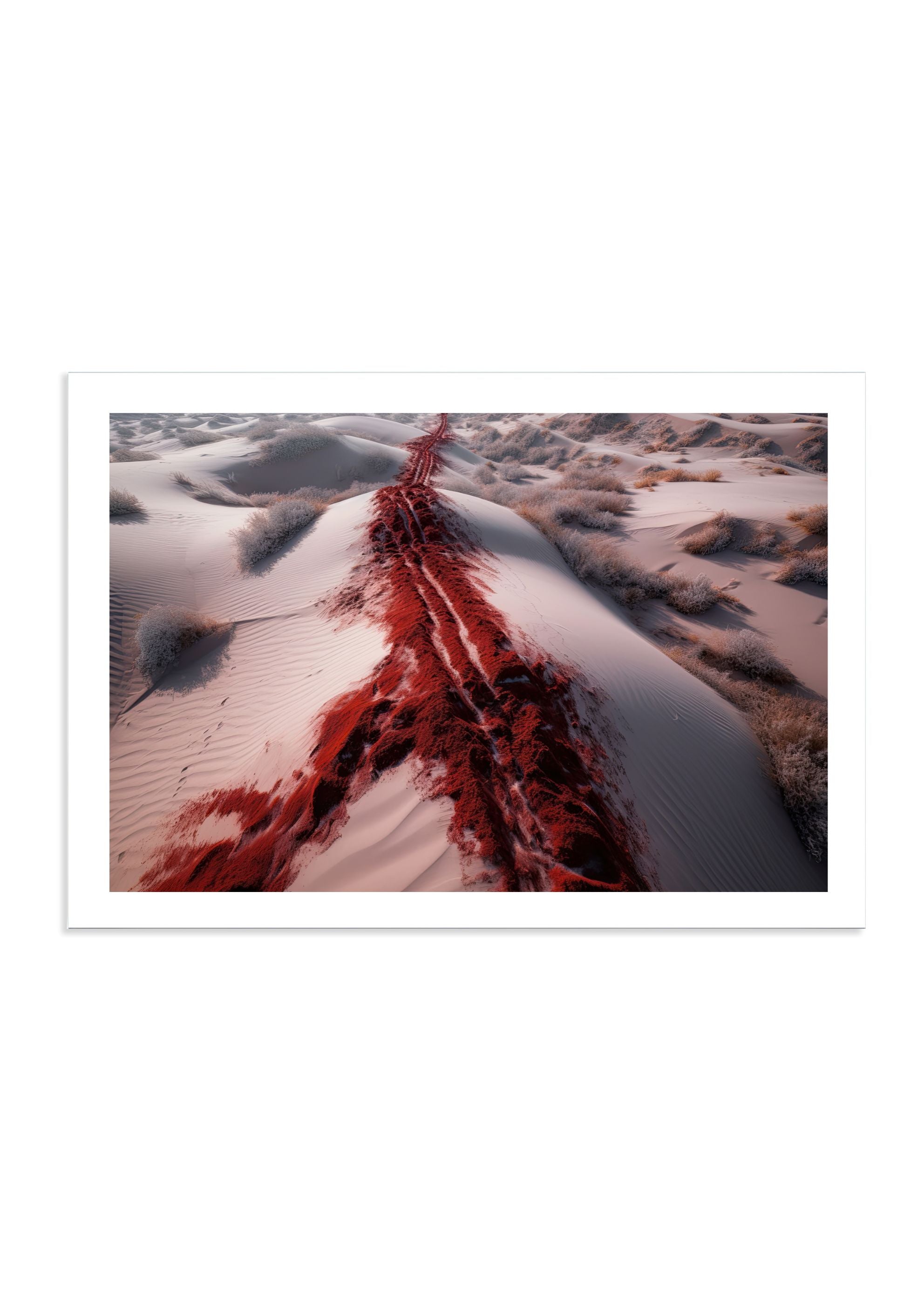 THE TRAIL *1 - DOTCOM ART