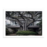 VAUCLUSE TREE HOUSE - DOTCOM ART