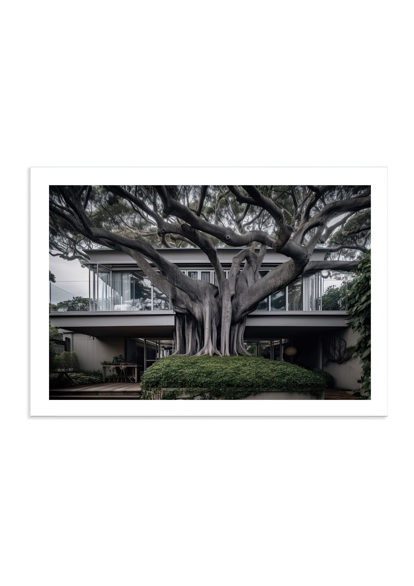 VAUCLUSE TREE HOUSE - DOTCOM ART