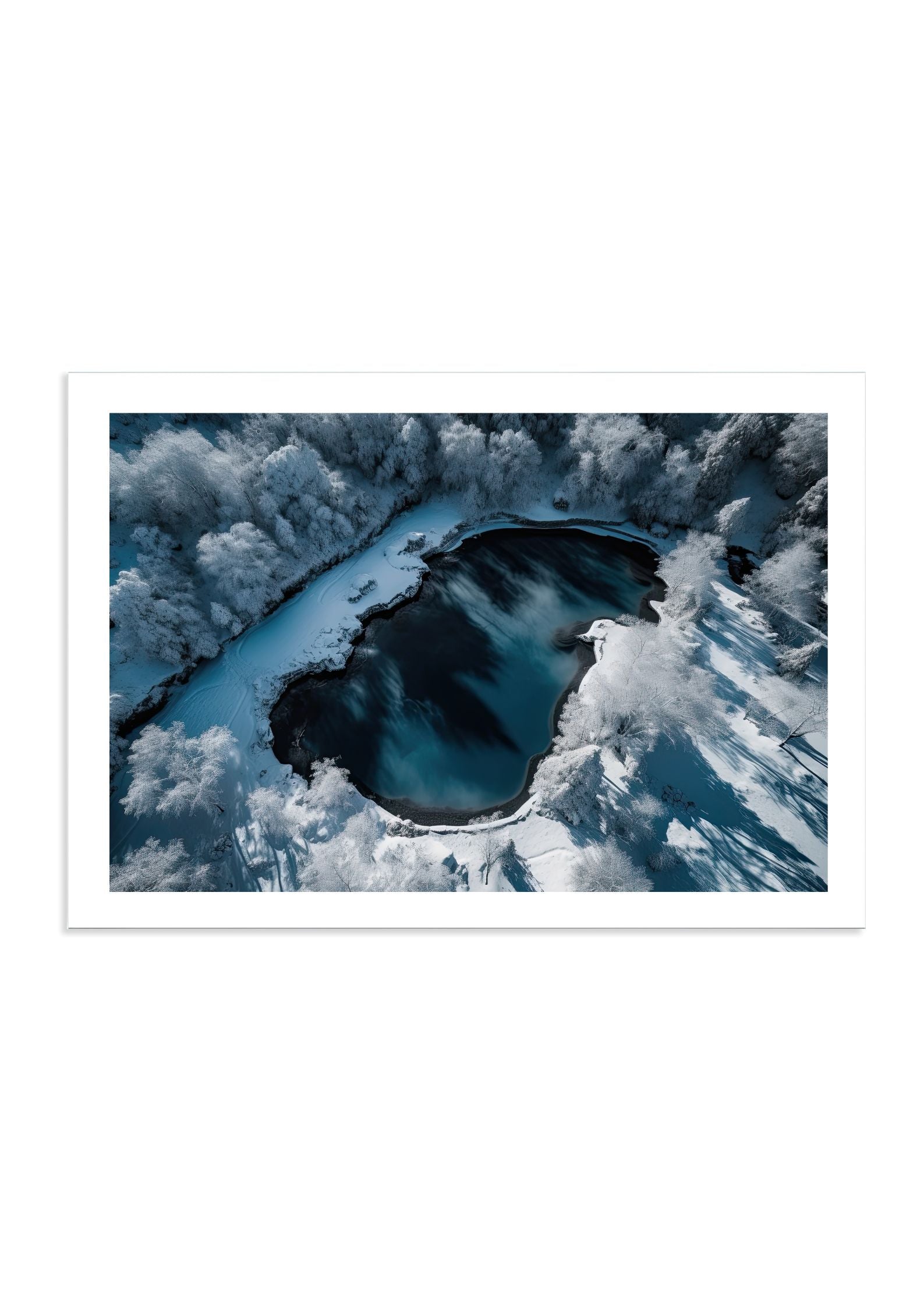 5 DEGREES CELSIUS - DOTCOM ART