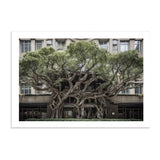BROADWAY TREE HOUSE - DOTCOM ART