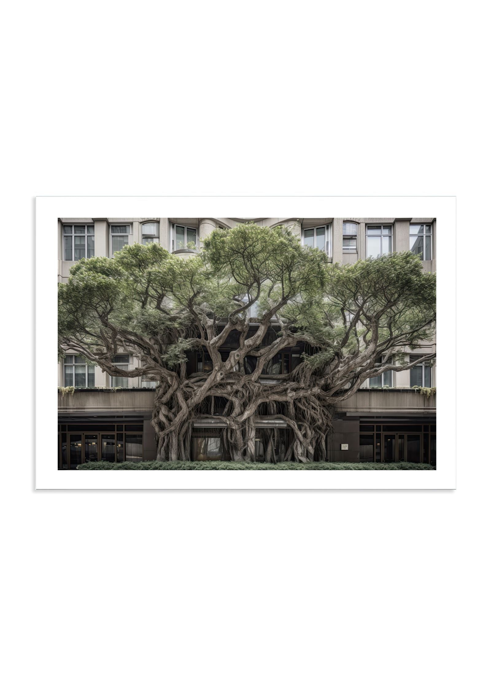 BROADWAY TREE HOUSE - DOTCOM ART